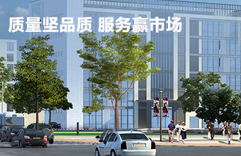 公司业务